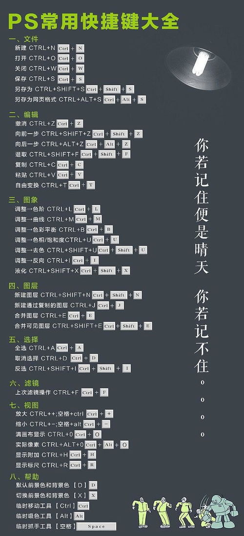 SAI與PS繪畫入門 核心功能詳解與軟件服務對比