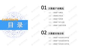 2019年中國大數(shù)據(jù)產(chǎn)業(yè)市場前景研究報告——應用軟件服務篇